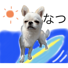 [LINEスタンプ] ぽこちゃんスタンプ！3