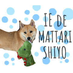 [LINEスタンプ] 柴犬むぎのスタンプ