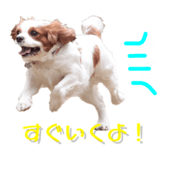 [LINEスタンプ] ココナちゃんと一緒