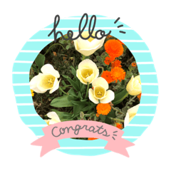 [LINEスタンプ] お花づくし