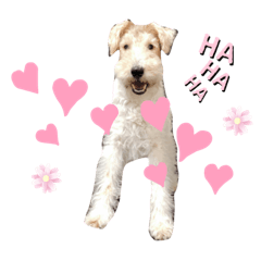 [LINEスタンプ] W.F.T Leafchan