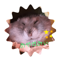 [LINEスタンプ] ハムハムハムっこ