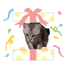 [LINEスタンプ] みこぼう.りぼ子