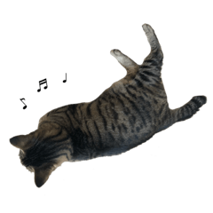 [LINEスタンプ] 愛するサバ。