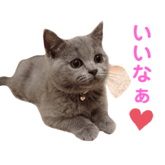 [LINEスタンプ] すぅたんぷpart1