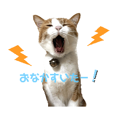 [LINEスタンプ] 超キュートですネ☆むぎちゃ後輩①