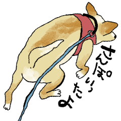 [LINEスタンプ] 犬のち～さんスタンプ