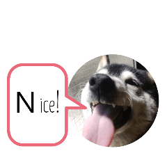 [LINEスタンプ] N i c e ！