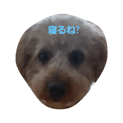 [LINEスタンプ] プーちゃんフクちゃん兄弟