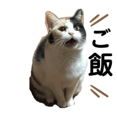 [LINEスタンプ] なっこたんの1日