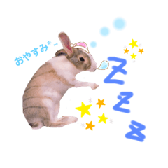 [LINEスタンプ] マイすたんぷ◡̈⋆*