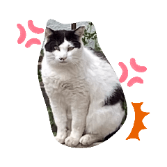 [LINEスタンプ] 私のすきな