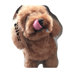 [LINEスタンプ] くくるのすたんぷ