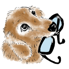 [LINEスタンプ] 我が家の愛犬ももちゃんのスタンプ