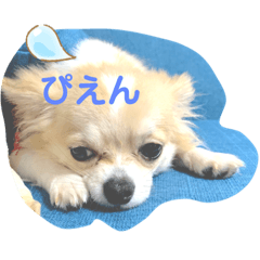 [LINEスタンプ] P＆P521