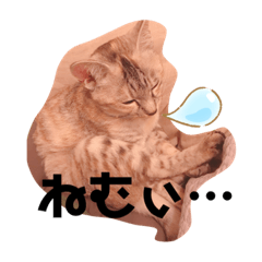 [LINEスタンプ] ゆるっと可愛い