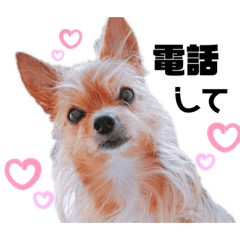 [LINEスタンプ] 犬姫スタンプ03