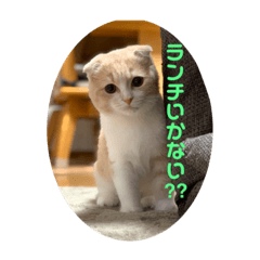 [LINEスタンプ] ミラたんスコスタンプa
