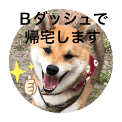 [LINEスタンプ] じゅじゅときんた