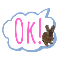 [LINEスタンプ] うさぎのモカちゃんスタンプpart6
