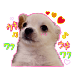 [LINEスタンプ] ベストレン