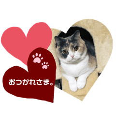 [LINEスタンプ] ひめ＆める のスタンプ