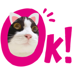 [LINEスタンプ] ハチワレ猫ちゃんかわいいmammy