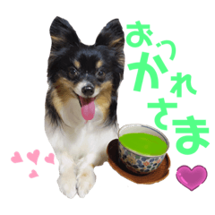 [LINEスタンプ] パピジャニのリンちゃん part2