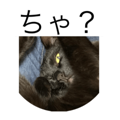 [LINEスタンプ] オマチーニョのスタンプ①