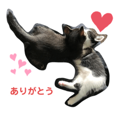 [LINEスタンプ] ハクメロ