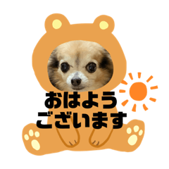 [LINEスタンプ] ツンデレシナモン♪
