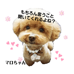 [LINEスタンプ] マロちゃんの日常2
