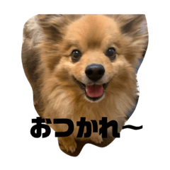 [LINEスタンプ] もこやまスタンプ1