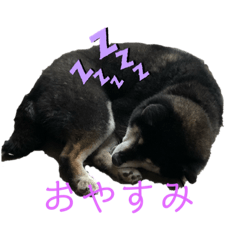 [LINEスタンプ] ショコラ スタンプ