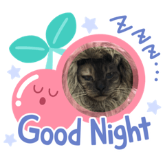 [LINEスタンプ] 吾輩は猫なり