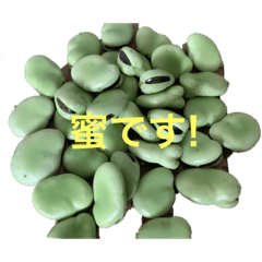 [LINEスタンプ] REIKO jokes