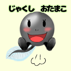 [LINEスタンプ] じゃくし おたまこ