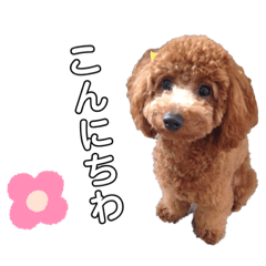 [LINEスタンプ] ショコラ！！