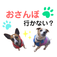[LINEスタンプ] ジャックラッセル(ゆずはなのつぶやき)