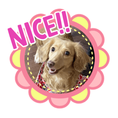 [LINEスタンプ] 近江マロンともうしますぅー