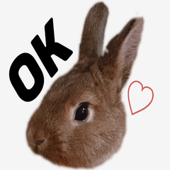 [LINEスタンプ] むぎちゃんのいちにち