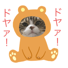 [LINEスタンプ] ノイ＆ニム