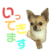 [LINEスタンプ] ちゃぴ4