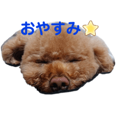 [LINEスタンプ] くれもんスタンプ