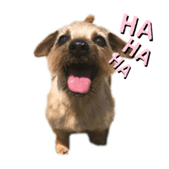 [LINEスタンプ] ドギーコテージスタンプ