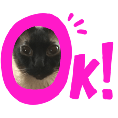 [LINEスタンプ] ここちゃんのまったりタイム