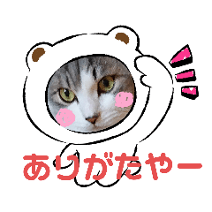 [LINEスタンプ] 虎太郎＆蘭丸3