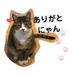 [LINEスタンプ] りんご屋さんのアイドル3