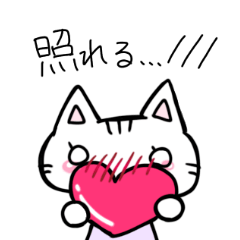 [LINEスタンプ] 可愛い！目がまるにゃんこ！