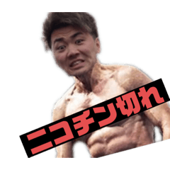 [LINEスタンプ] りゅーせーくるー